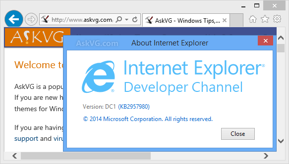 Internet Explorer Developer Channel launched